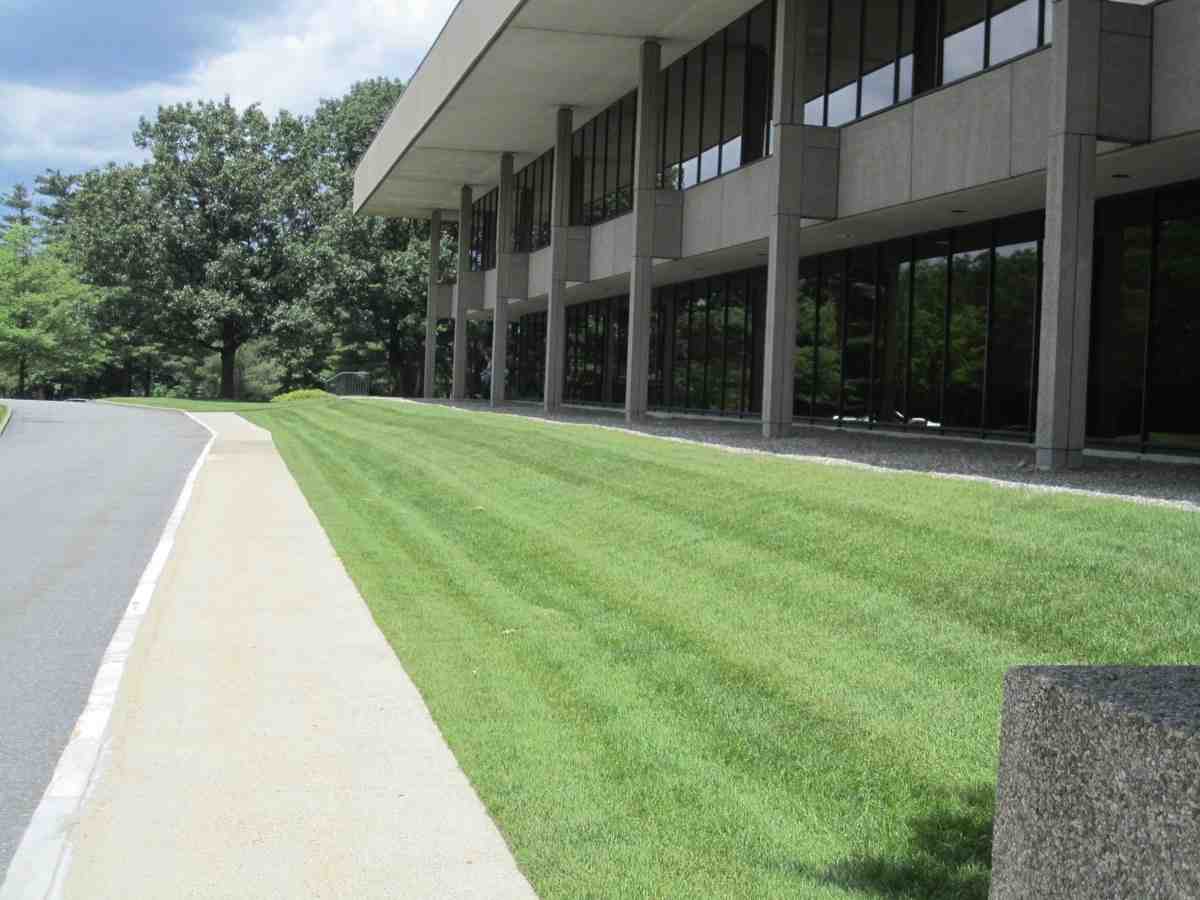 commercial property lawn maintenance - commercial property lawn maintenance commercial property lawn maintenance - commercial property lawn maintenance