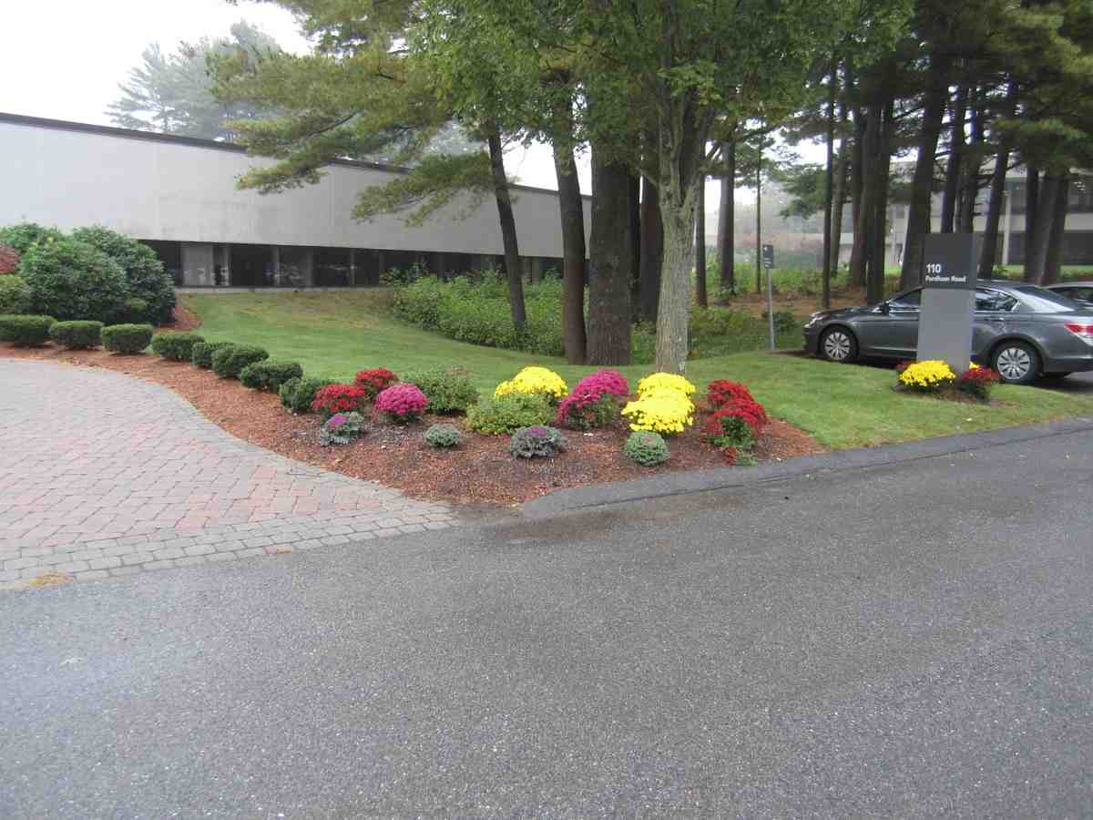 Commercial Landscaping - commercial landscaping maintenance