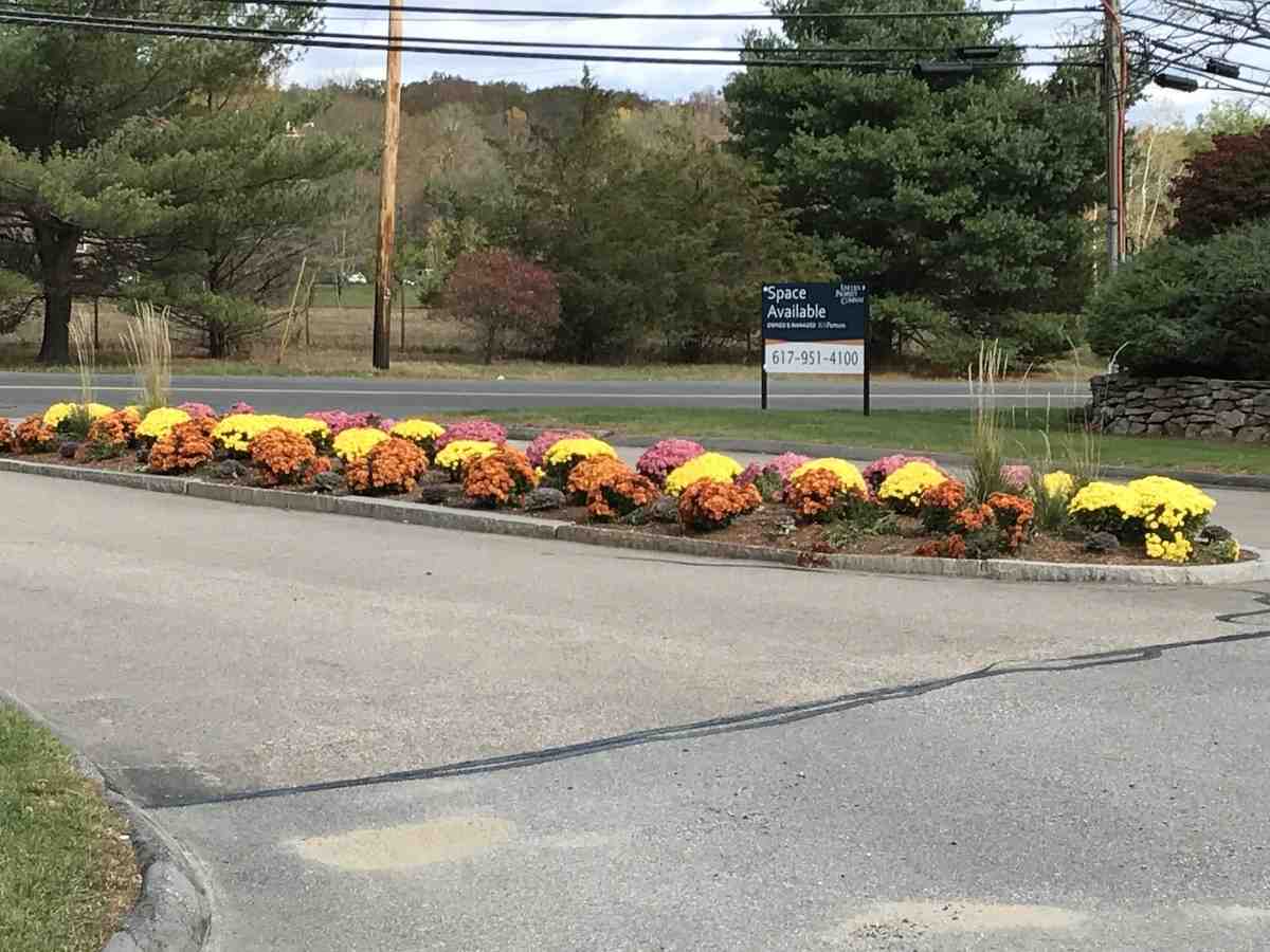 A well-maintained commercial property with a clean exterior and lush landscaping - commercial property maintenance checklist template