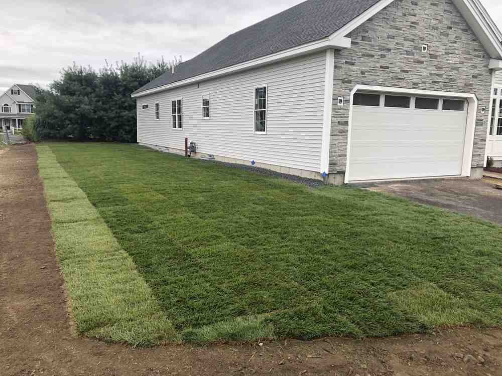 various softscaping elements in a garden including trees shrubs perennials and ornamental grasses - softscaping