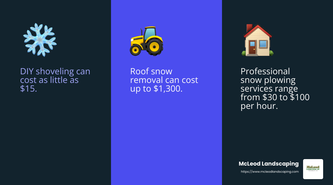Snow removal costs can range from $15 for DIY shoveling to $1,300 for professional roof snow removal. - snow removal service infographic 3_facts_emoji_blue