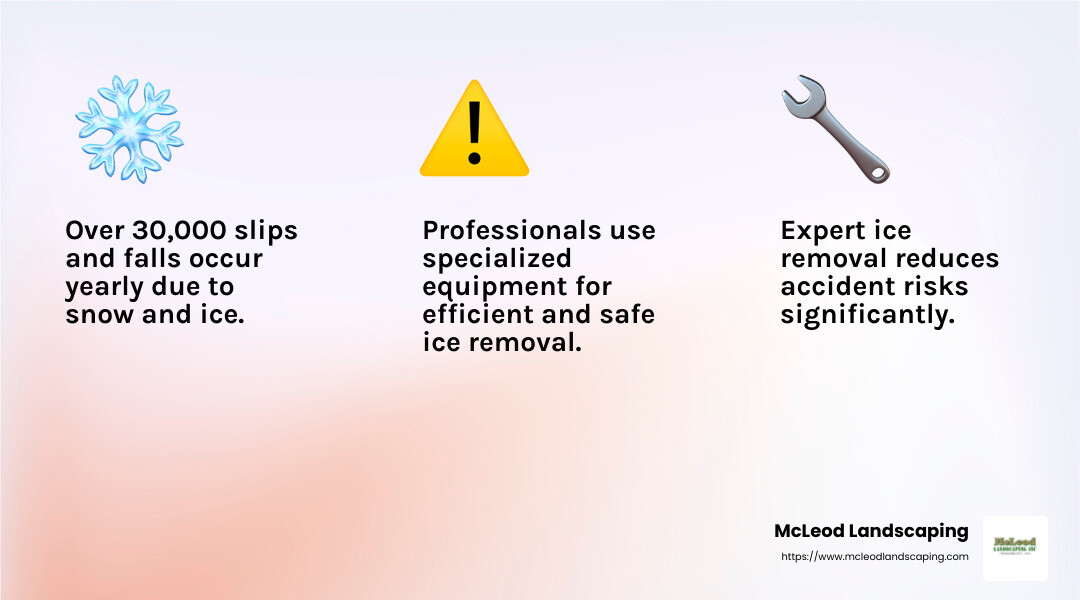 Over 30,000 slips and falls occur yearly due to snow and ice. - ice removal company infographic 3_facts_emoji_light-gradient