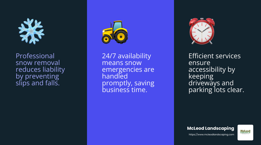 Efficiency in Snow Removal - Commercial Snow Removal infographic 3_facts_emoji_blue