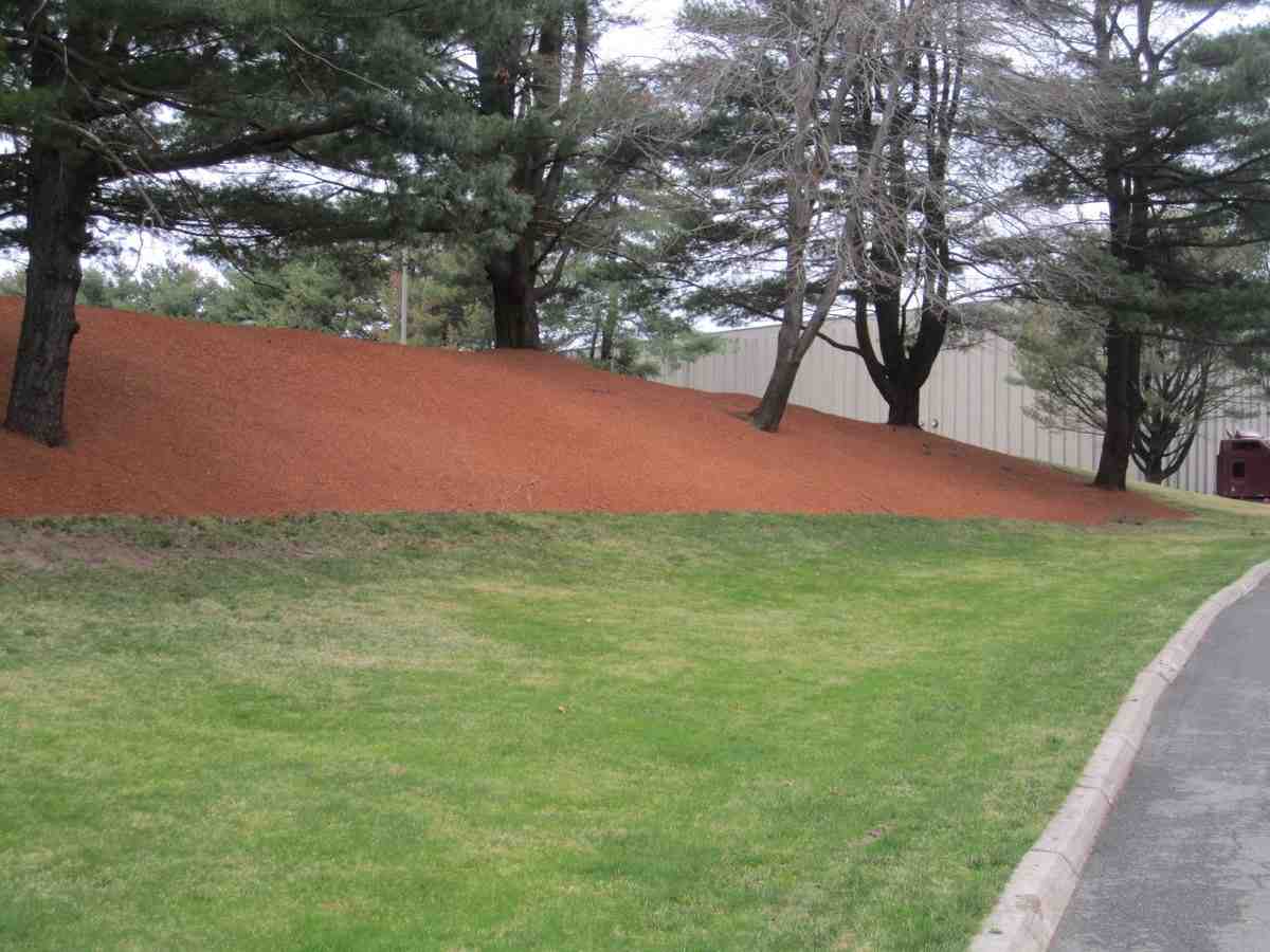 McLeod Landscaping Hydro Mulch Near Me: Where to Buy the Best Supplies