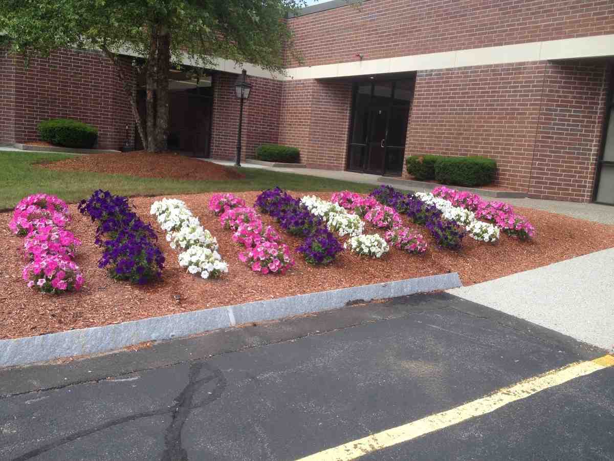 McLeod Landscaping Softscape Made Simple—A Beginner’s Guide to Garden Design