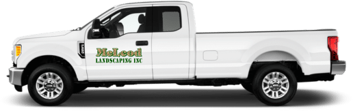 truck white with logo
